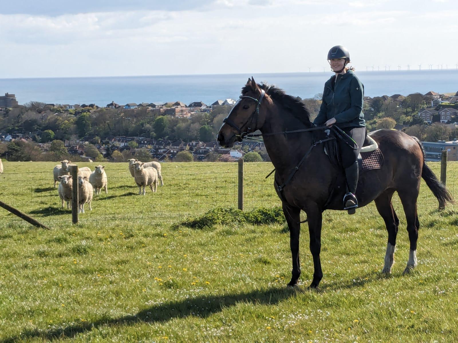 Photo with pets and animal care in Faygate