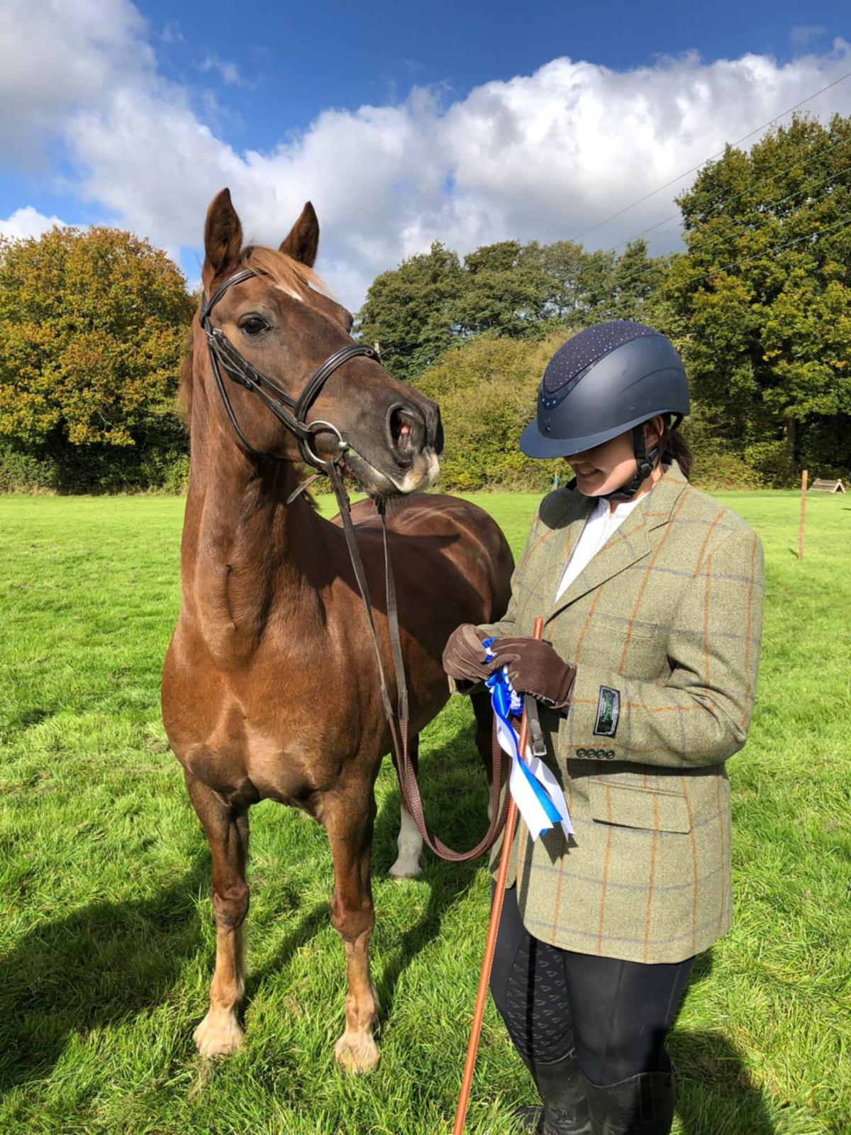 Horses in a green field