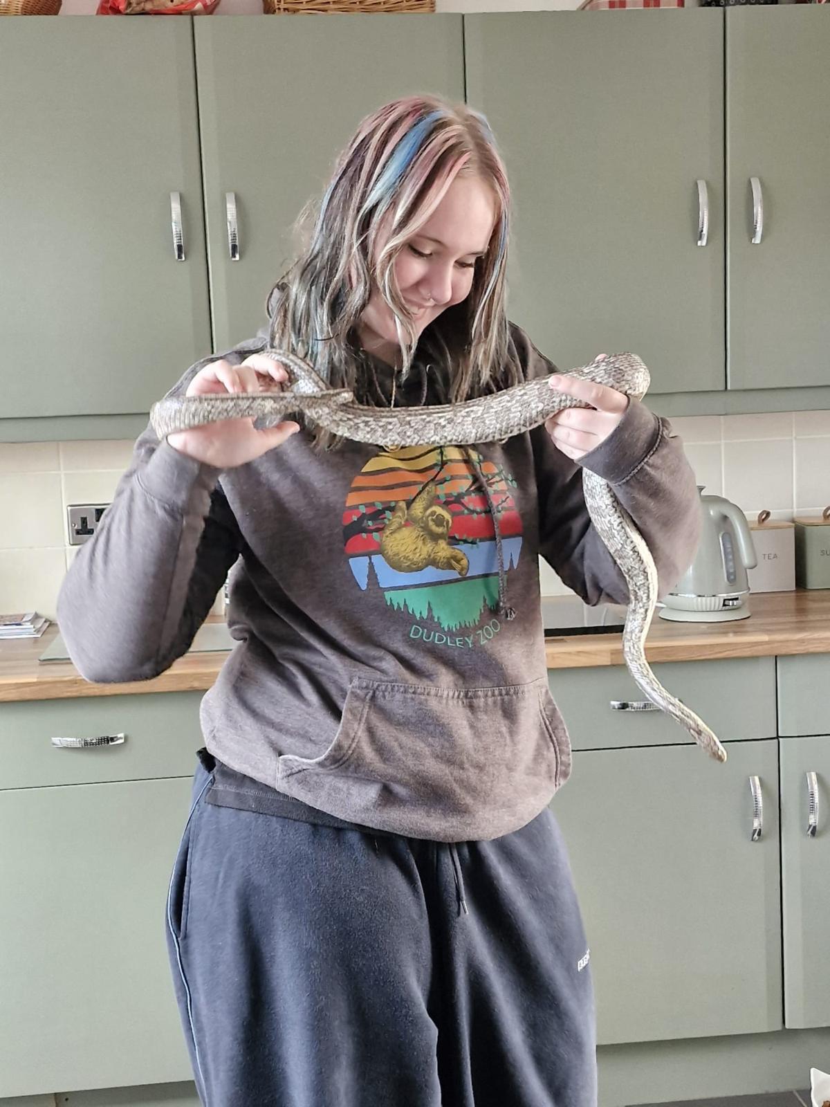 Photo with pets in Faygate